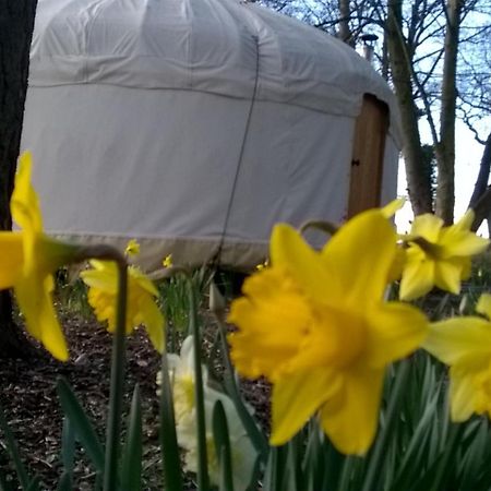 Gingerbread Cottage Yurts Dereham Eksteriør billede