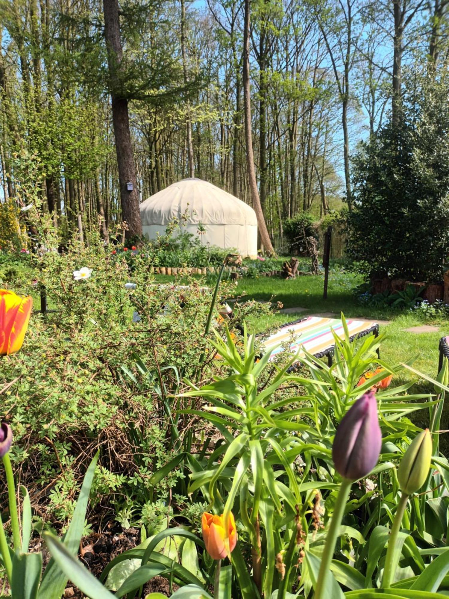 Gingerbread Cottage Yurts Dereham Eksteriør billede