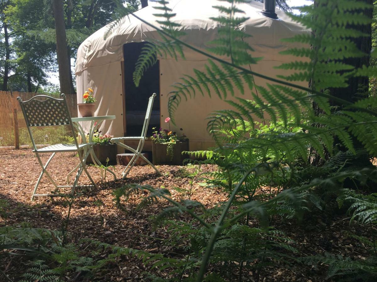 Gingerbread Cottage Yurts Dereham Eksteriør billede